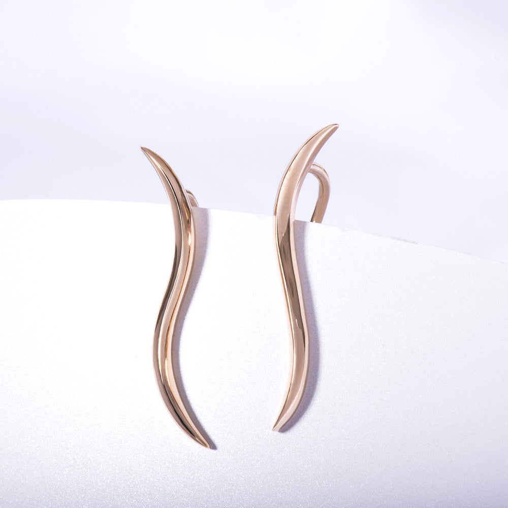Ear Climber Earrings